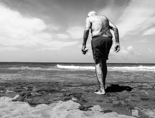 Janusz Gajos – wybrane fotografie